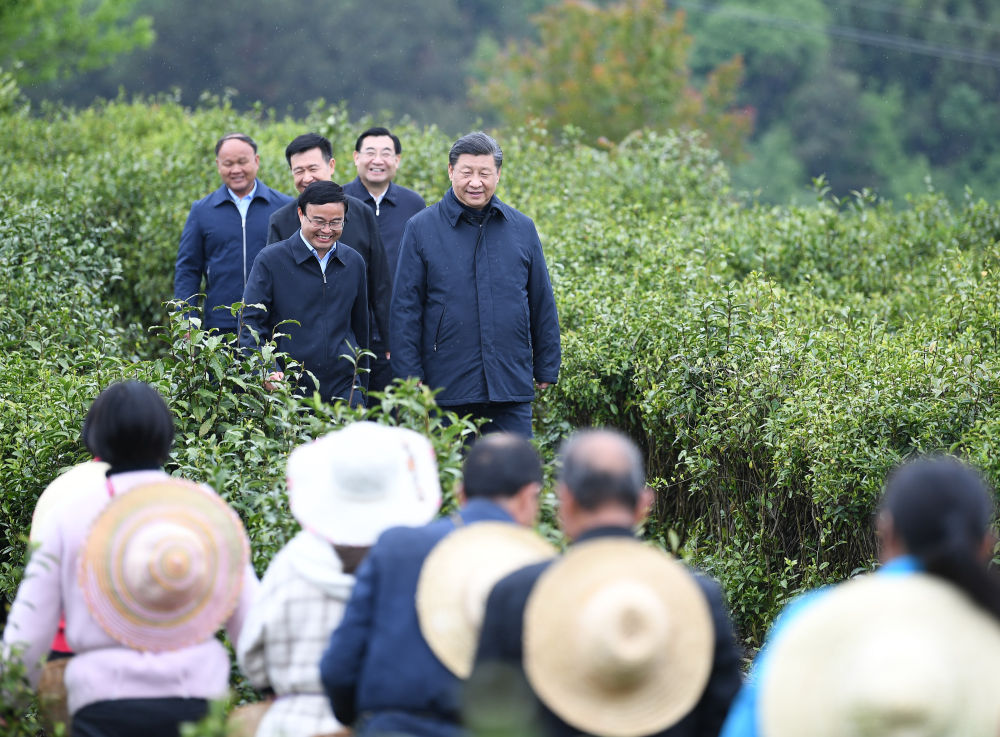 2020年4月21日，習近平來(lái)到陜西省安康市平利縣老縣鎮，在茶園考察脫貧攻堅情況。新華社記者 燕雁 攝